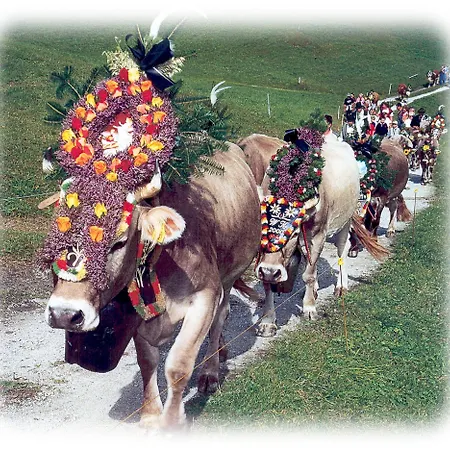 Kroell - Viktoria Und Maria 아파트