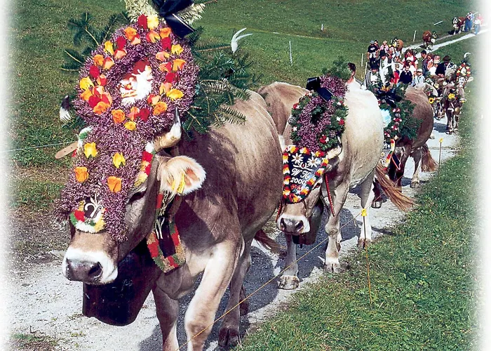 Kroell - Viktoria Und Maria Апартаменты