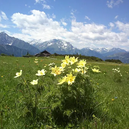 Kroell - Viktoria Und Maria *